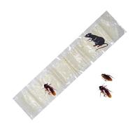 GizellMG Piège Invisible à cafards au Sol pour Attrape Les Rat/cafard Intelligence 3Pcs Pièges de Colle Forte Tapis de Pièges Protection Jardin Atelier Transparent 1,2x0,28M
