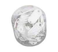 GizmoSynth Lot de 50 étiquettes porte-clés en plastique avec étiquettes d'identification pour bagages, blanc, S