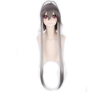 GJBXP 100 cm Synthétique Vocaloid Argent Gris Noir Long Perruque Femmes Cheveux Raides Anime Cosplay Perruques Tressées Pour Halloween Costume Party gris ombre