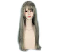 GJBXP Mode Pas Cher Mélanger Gris Longue Ligne Droite Perruques de Cheveux Harajuku Lolita Pour Les Femmes Anime Cosplay Perruque De Fête De Halloween Avec Bang PL-108