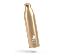 Gjfty-Bouteille Isotherme De Qualité Supérieure,1 L,En Acier Inoxydable,Anti-Fuite,Sans Bpa, Les Enfants, Les Activités En Plein Air Et Les Autres Activités En Plein Air.