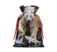 Gjgdbxdw Sacs cadeaux de Noël avec impression d'animaux sauvages chasseurs de poissons, sac cadeau avec cordon de serrage pour ranger des bonbons et des collations pour les festivals, taille M
