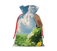 Gjgdbxdw Sacs cadeaux de Noël avec imprimé coccinelle et nuage, sac cadeau avec cordon de serrage pour ranger des bonbons et des collations pour les festivals Petit format