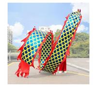 GJGHKLHL Danseur de Ruban Rythmique 3D, Ensemble banderoles Corps Dragon Sport for l'extérieur(8 m/26ft)