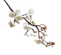 GJGHKLHL Fleurs artificielles, 5 pièces Fleur de Prunier Blanc Artificiel Longue Tige en Plastique Simulation Branches Fleurs Cerisier Fausses pêche Soie - Bouquet Mariage Floral(White)