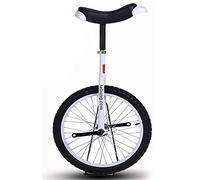 GJGHKLHL monocycle, Monocycle à Roues de 16 Pouces for Enfants avec Jante en Alliage, Pneu très épais et Support Rangement Robuste, équilibre, Exercice Cyclisme, Fitness for Adultes(White)