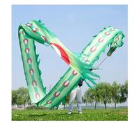 GJGHKLHL Ruban de Danse du Dragon Chinois 3D coloré, banderoles Lion en Soie, Flux Fluide(Grün,10m)