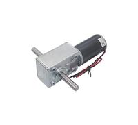 GJZIFGFWQ Mini Moteur 5840-31ZY Moteur à engrenage vis sans Fin axe Long 12 V 24 DC Double Arbre Haute Puissance Couple élevé : 160 TR/Min, Tension V(DC 12v,160 RPM)