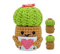 GkgWuxf au Crochet Positive,Cactus en Pot au Crochet | Décoration Bureau Étagère Chambre Salon Pour Anniversaire Housewarming Inspiration