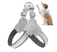 GkgWuxf Harnais de Chien réfléchissant, Harnais de Animal de Compagnie réflexive, Harnais de Chien en Forme de Y sans Traction Clip réfléchissant, Antarié des Animaux de Compagnie, Accessoires