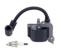 Gkumgwo Bobine d'Allumage pour Tondeuse à Gazon, Pièces Détachées pour Tondeuse, Équipement Électrique de Remplacement pour Entretien de Jardin Agricole et Paysager Efficace