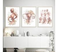 GKUVBF Anatomie féminine, fertilité, grossesse, affiches, impressions, peinture sur toile, art mural, gynécologie, obstétrique, décoration murale (40 x 60 cm, 3 pièces, sans cadre)