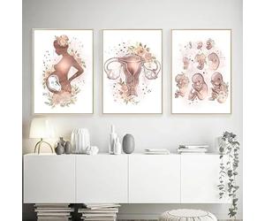 GKUVBF Anatomie féminine, fertilité, grossesse, affiches, impressions, peinture sur toile, art mural, gynécologie, obstétrique, décoration murale (40 x 60 cm, 3 pièces, sans cadre)