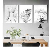 GKUVBF Tableau imprimé sur toile en noir et blanc, affiches décoratives murales représentant des plumes et des pissenlits, pour le salon (30 x 45 cm / 3 pièces sans cadre)