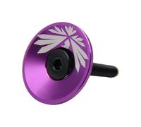 GKYQVE Capuchons de guidon de vélo pour vélo de route - Capuchons de fourche de vélo - Couvercle de fourche de vélo durable avec vis
