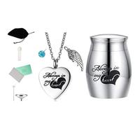 GKYQVE Collier de rangement coloré en forme de cœur pour cendres - Peut s'ouvrir et fermer - Pour collier urne souvenir d'un propriétaire d'animal, collier urne pour animal domestique