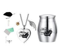 GKYQVE Collier de rangement coloré en forme de cœur pour cendres - Peut s'ouvrir et fermer - Pour collier urne souvenir d'un propriétaire d'animal, collier urne pour animal domestique