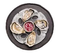 Glace8 - Assiettes à huîtres réfrigérante en Poche de Glace (26 + 4 offertes - sans packaging) pour hotels et restaurants