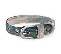 Glacier National Park Collier réglable doux et confortable avec boucle en métal pour animal domestique de petite et moyenne taille