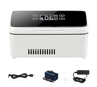 Glacière à insuline pour réfrigérateur avec batterie au lithium 1 pour voiture, voyage, maison - Mallette de réfrigération portable pour voiture/petite boîte de voyage pour médicaments