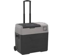 Vidaxl Glacière Avec Roue Et Poignée Noir Et Gris 30 L Polypropylène