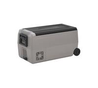 Vidaxl Glacière Avec Roue Et Poignée Noir Et Gris 36 L Pp Et Pe