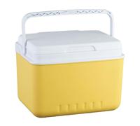 Glacière de camping 6 L - Isotherme - Coffre à glace pour voiture - Incubateur dur et facile à utiliser