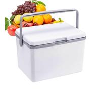 Glacière de camping - Bac à glace portable, 5 L, multifonctionnel, isotherme, rigide, avec rétention de glace, très résistant pour le camping