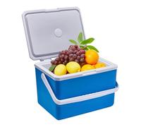 Glacière de Camping, Petite glacière | Glacière,Petite glacière Portable isolée de 5 L, glacière Rigide Portable pour la Plage, Le Pique-Nique et Le Camping