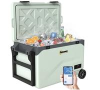 Glacière électrique - Outsunny - compression 12V 240V - contrôle application et roues - plastique - 42,5L - vert