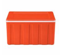 Glacière Isotherme Chaud Froid Portable | Plastique PP, sans alimentation externe, pour usage domestique, véhicule, pour chantier, pour camping