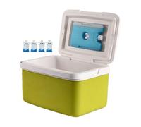 Glacière isotherme rigide avec poignée, capacité de 15 l, refroidisseur de boissons et boissons, portable pour camping, barbecue, hayon, pêche, pique-nique, bateau, événements en plein air, stockage