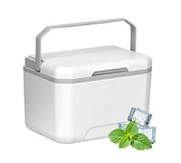 Glacière Personnelle | Boîte Isotherme Pour Aliments 5 L Avec Poignée | Glacière Rigide Refroidisseur,Pour Voiture, Extérieur, Camping, Pique-Nique, Bateau, Randonnée, Plage, Voyage, Road Trip Et Tail