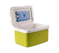 Glacière - Petite boîte à glace rigide de 26 x 18 x 20 cm pour la pêche | Boîte à glace étanche avec poignée | Conteneurs thermiques en polypropylène étanche pour boissons et collations pour