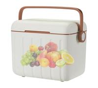 Glacière portable | Boîte de conservation du lait | 6 L Coffre à glace pour pique-nique, boissons, voyage, pêche, gym, barbecue, plage, randonnée, sports de plein air catastrophe