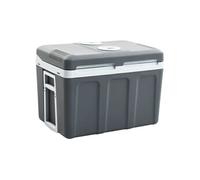 Glacière Portable Thermoélectrique 40 L Electrique Camping Voiture vidaXL