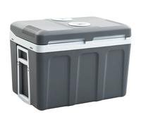 Glacière Portable Thermoélectrique 40 L Electrique Camping Voiture vidaXL