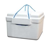 Glacière,réfrigérateur,refroidisseur en polystyrène, capacité 26 L - Longueur 45 x Profondeur 31 x Hauteur 33 cm-JUANIO