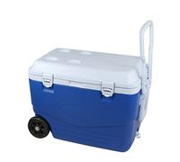 Glacière Rigide 46 litres, 60,5 x 35,5 x 41,5 cm, Bleu/Blanc