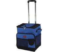 GLACIERE - SAC ISOTHERME - ACCUMULATEUR DE FROID ESTINK Glacière roulante Sac Isotherme à Roulettes Souple Portable 35L Sac de