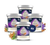 GLADE® AROMATHÉRAPIE BOUGIE MOMENT OF ZEN LAVANDE & BOIS DE SANTAL - sans huile de palme