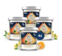 GLADE® AROMATHÉRAPIE BOUGIE PURE HAPPINESS ORANGE & NÉROLI - sans huile de palme