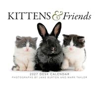 Gladstone Media Calendrier de bureau 2027 Chatons et amis - Photographie de chaton mignon, calendrier de bureau quotidien, 15,2 x 12,7 cm, cadeau
