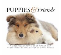 Gladstone Media, Puppies & Friends Calendrier de bureau 2026