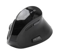 Glaeptio Souris Verticale, Ergonomique, Rechargeable, Silencieuse, BT2.4G | Connectivité sans Fil, 1000 1600 2400 DPI, Batterie 500 MAh, ABS, Utilisation de la Bibliothèque Office, Wins 7 10 OS X