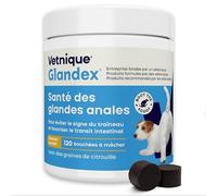Glandex pour Chien - 120 bouchées à mâcher Santé des Glandes anales - Produit formulé par des vét pour favoriser la vidange des Glandes anales - Riche en oméga-3, graines de Citrouille et Fibres