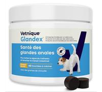 Glandex pour Chien - 60 bouchées à mâcher Santé des Glandes anales - Produit formulé par des vét pour favoriser la vidange des Glandes anales - Riche en oméga-3, graines de Citrouille et Fibres