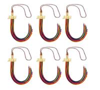 Glands de Commencement Arc-en-Ciel avec breloque d ' année, Pompons de Chapeau de de diplôme pour Robes académiques, Casquettes et cérémonies, de décoration