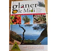 Glaner Dans Le Midi