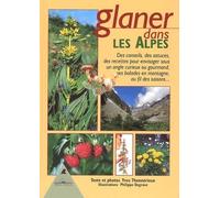 Glaner dans les Alpes